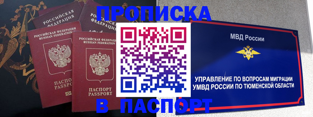 пропишу в квартире в Старой Руссе